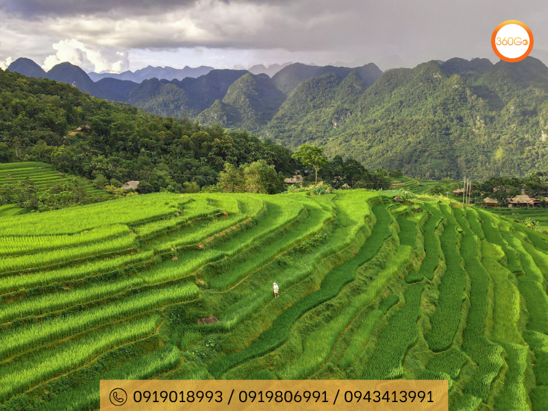 Pù Luông (Thanh Hóa) - Du lịch 360Go